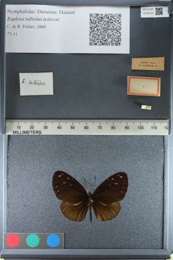 Media type: image;   Entomology 160107